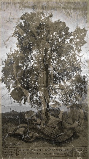Sacred tree